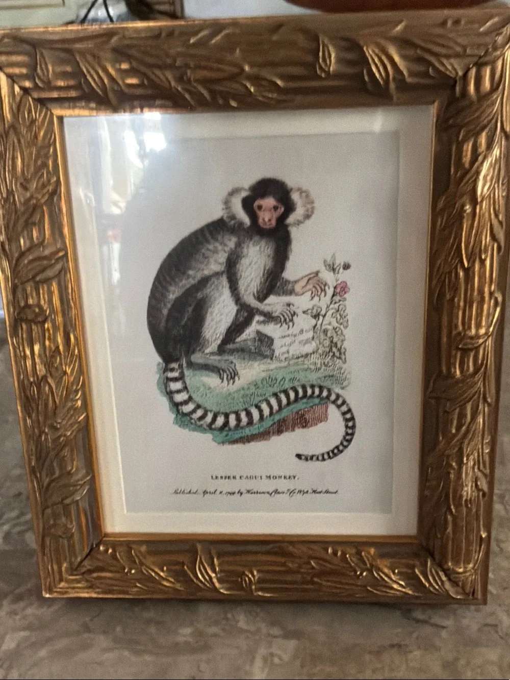Gold Framed Botanical Monkey Wall Art